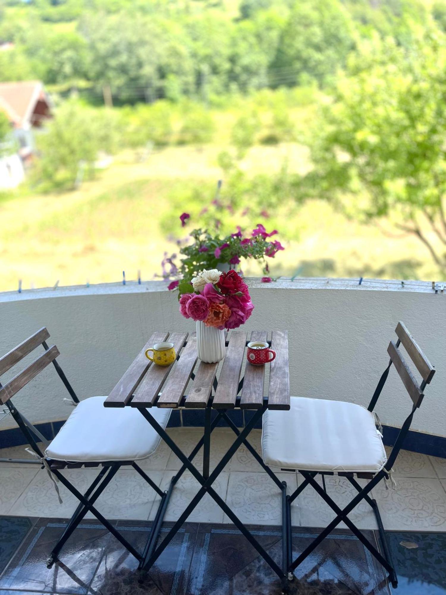 プラヴ Visitor Yard Bed & Breakfast エクステリア 写真